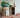 'Babar a 50 Ans' Poster