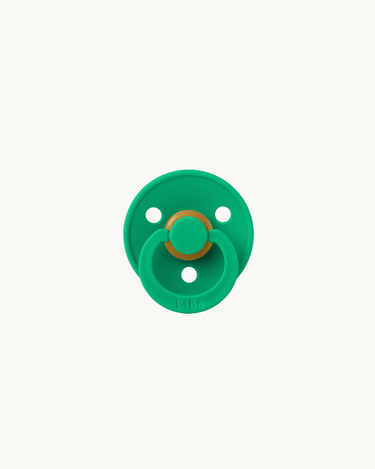 Colour Pacifier Cactus