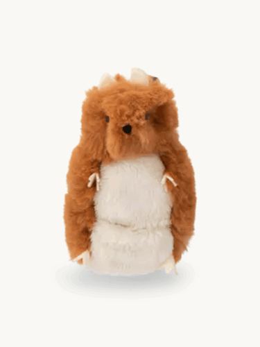 Hamster Tooth Fairy
