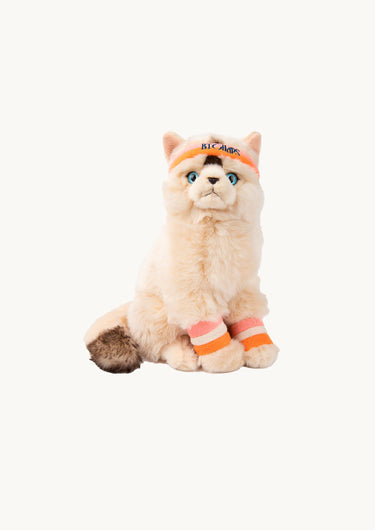 Dolly the Ragdoll