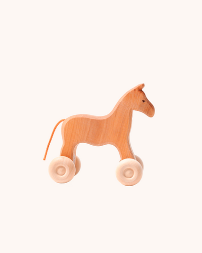 Willy the Wooden Horse