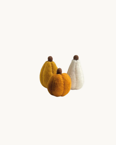 Pumpkins Set of 3