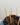 Beeswax Candles in Box of 10 from Ovo Things