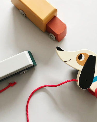 Charlie the Sausage Dog from Rex London