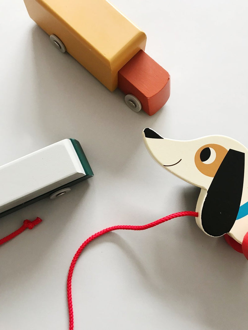 Charlie the Sausage Dog from Rex London