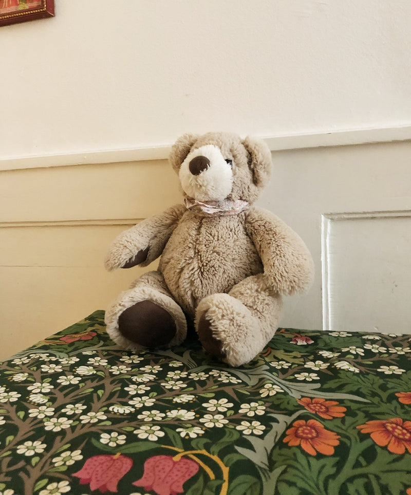 Soft Teddy Bear in Medium from Bonton